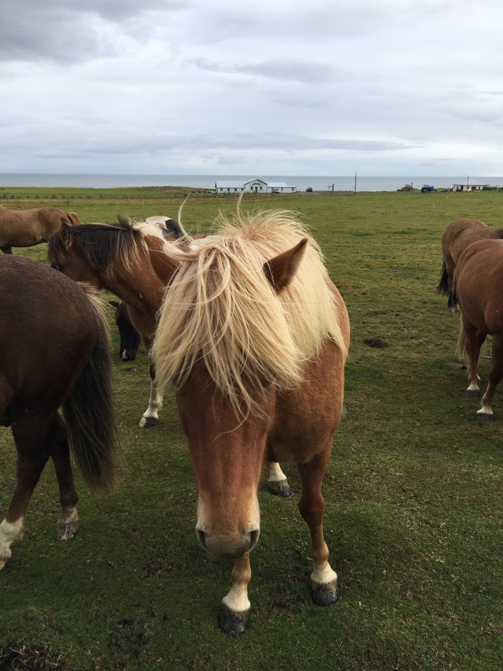 57D80C1A-2800-4D79-809C-3A791B01F66D