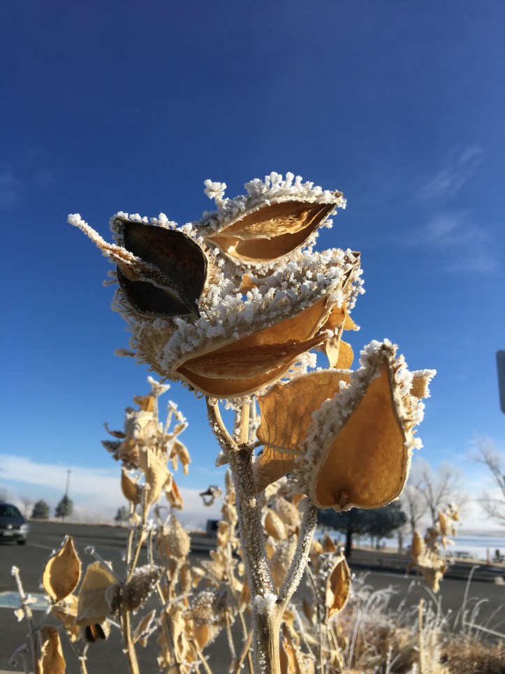 DE216A8C-DDE7-4039-89A2-67B87CD6EE37