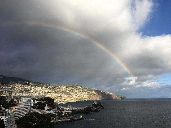 DFC68224-9E66-4077-8D7C-157FA4859AA7