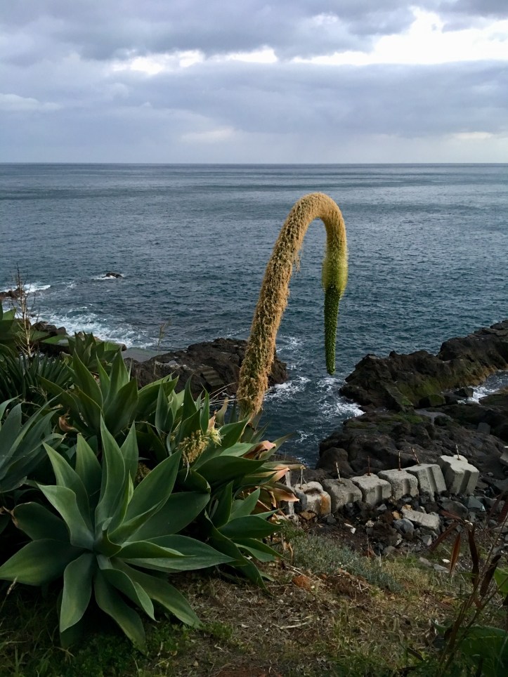 F89961EE-AC5A-482E-9BCF-B4C3B1EBB252